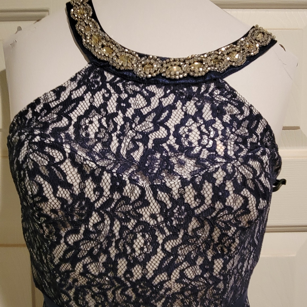 Windsor Navy Lace Dress with Beaded Neckline